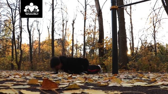 Каскад Отжиманий | Уличная Тренировка смотреть онлайн