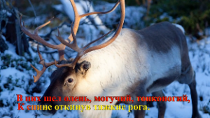"Олень" (Коренблит - Бунин). Мегапроект "Экология русского языка. Синтез слова и музыки"