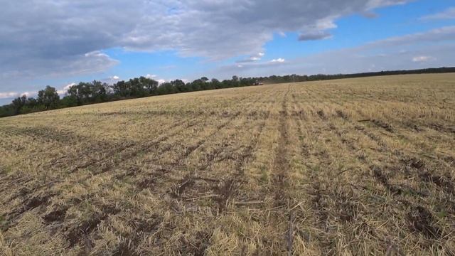 Сев озимого рапса в засуху по No-Till. Авантюра или оправданный риск? смотреть онлайн