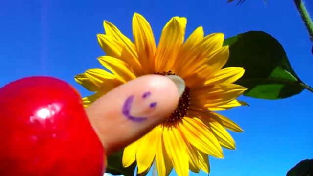 как дела не родила смотреть онлайн