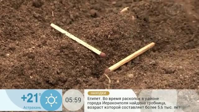 Редис все лето