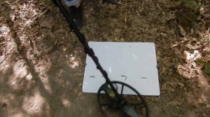 Metal detector AKA INtronik STF vs GM5 - speed test