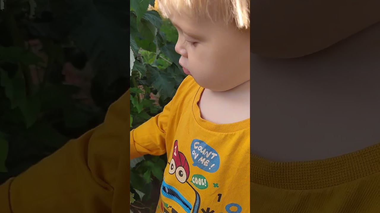  смотреть онлайн