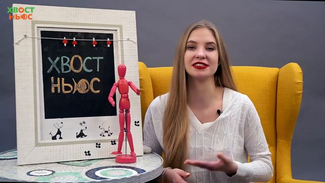 Кошки предсказывают погоду? смотреть онлайн