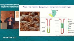 Отзыв о препарате Регастим Гастро от к.м.н, профессора РАН  Галагудзы М.М.