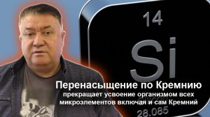 Пастушенков Алексей - семинар BALSAMLIFE 2022