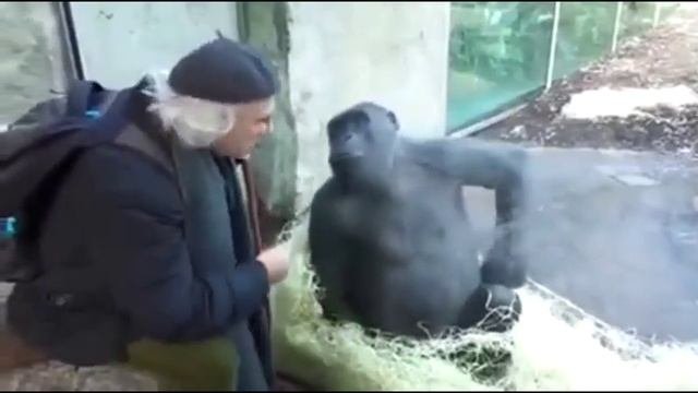 Приятно поговорить с умным человеком