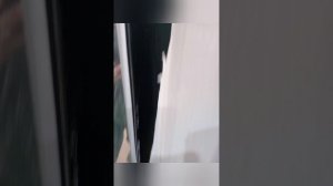 не делай обои без ламината, ламинат и только потом обои