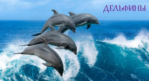 ЗАРИСОВКА. ДЕЛЬФИН.СТИХИ ДЛЯ МАЛЫШЕЙ.