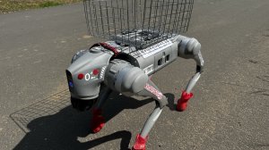 Полезная корзинка на робособаку