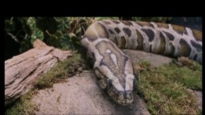 Угарная озвучка! Харнес Потти))))