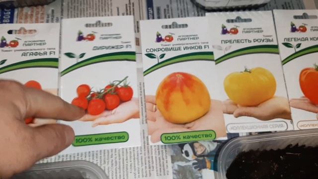 ЖАЛЕЮ, что РАНЬШЕ так не сеял томаты... всегда хорошие всходы и никакой мороки. смотреть онлайн