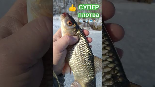 РЫБАЛКА на МОРМЫШКУ ?????????️?️???