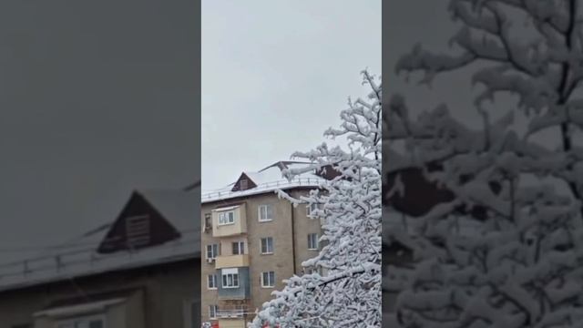 Кабардино ~ Балкария г. Прохладный. смотреть онлайн