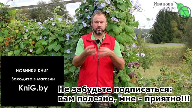 ВСЕ ТОНКОСТИ ИСПОЛЬЗОВАНИЯ ЗОЛЫ КАК УДОБРЕНИЯ. Осеннее, весеннее, летнее и даже зимнее удобрение.