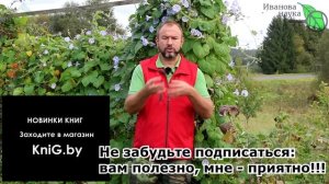 ВСЕ ТОНКОСТИ ИСПОЛЬЗОВАНИЯ ЗОЛЫ КАК УДОБРЕНИЯ. Осеннее, весеннее, летнее и даже зимнее удобрение.