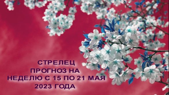 СТРЕЛЕЦ ПРОГНОЗ НА НЕДЕЛЮ С 15 ПО 21 МАЯ 2023 ГОДА