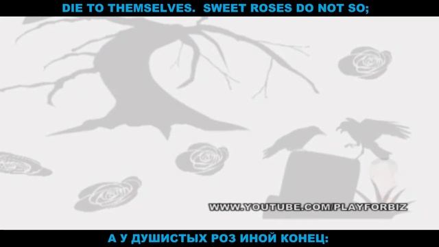 Сонет 54 Шекспир Мы в нежных розах ценим аромат - Обабков Николай смотреть онлайн
