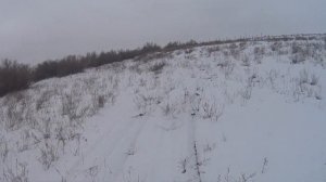 Охота на зайца  с дратхаарами 27 .01. 2024 г.