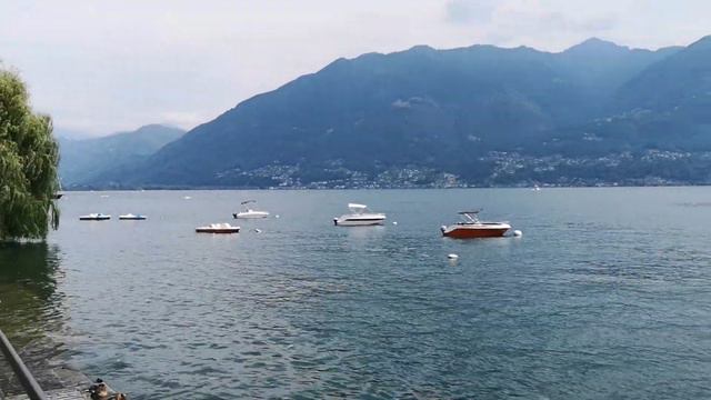 Locarno Svizzera 2019 смотреть онлайн