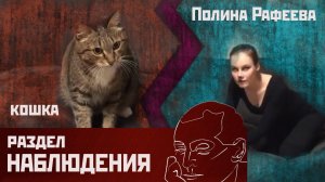 Полина Рафеева - Кошка