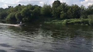 Мотор шармакс 9.9