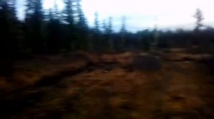 Большое ярминское озеро.Прорыв через болото.