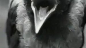 Русская ГОЛГОФА. 2000