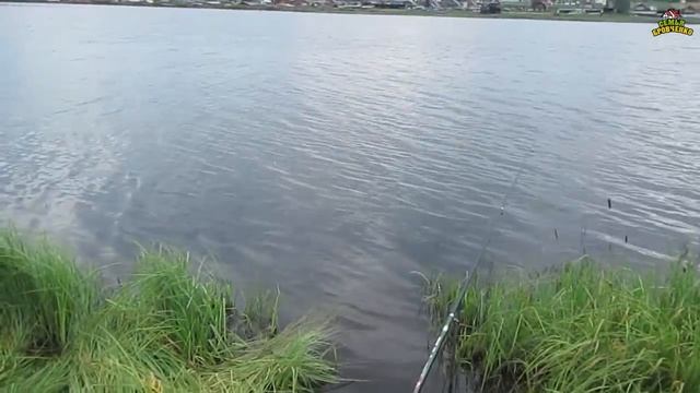 Рыбалка на Уриковском водохранилище. Ч.2 (07.20г.) Семья Бровченко. смотреть онлайн