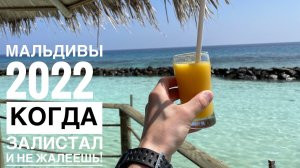 Толя прилетел на Мальдивы | Райский остров 2022