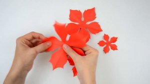 Рождественский цветок пуансеттия своими руками - 4 способа изготовления