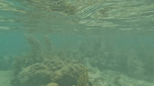 Hotel Le Peinsula Bay Beach Resort & Spa, Blue Lagoon, Mauritius смотреть онлайн