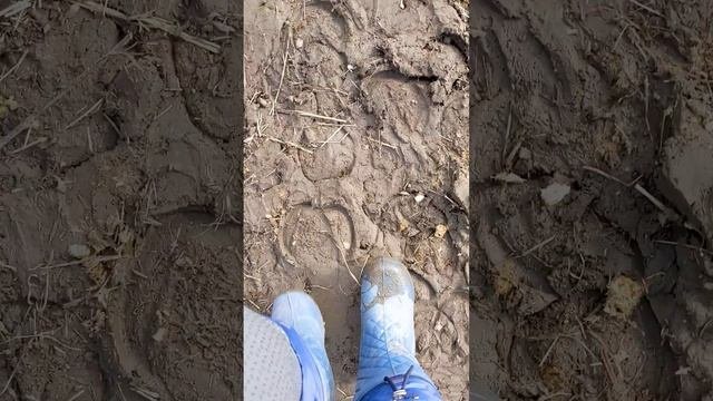 На левады за Куклой, веснааа. ?♀
