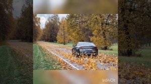 Антиреспект Там