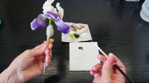 Ирис из холодного фарфора: видео презентация