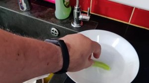 Кормление анциструса огурцом