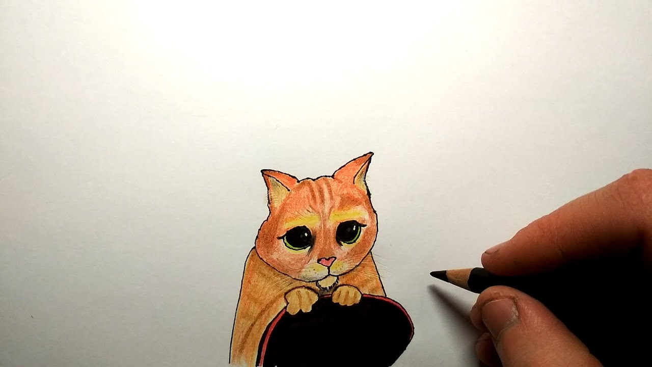 Кот из шрека рисунок
