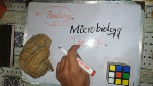 sketchy microbiology, sketchy microbiology videos. SPECIAL ANNOUNCEMENT...🌹🚥INSHAALLAH will try.