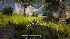 где и как поймать лошадь в black desert