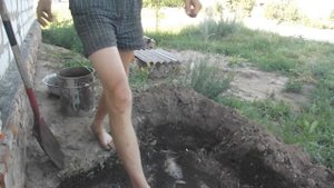 Посадка актинидии.