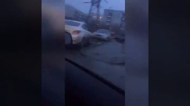 ВЛОГ:КУПИЛА ХОМЯКА?новый сирийский хомяк