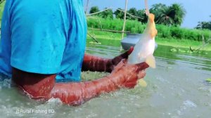 OMG!! Big Fishing By Plastic Bottle Fish Trap | Hook Fishing | Amazing Catching Fish Technique