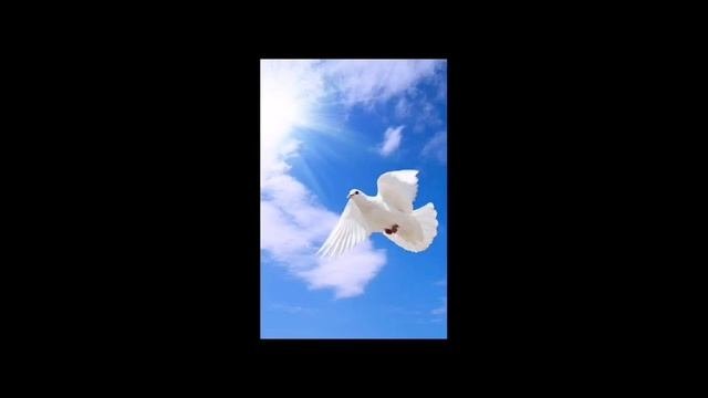 Песня сорвутся голуби бутырка. Сорвутся голуби.