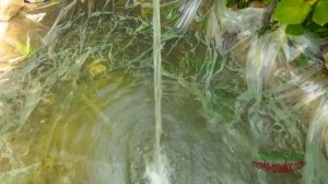 мини пруд!(самый простой и дешевый вариант).