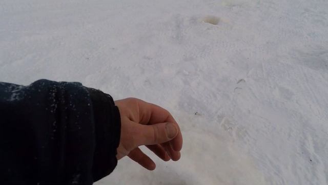 ЗИМНЯЯ РЫБАЛКА 2020 НА ЯМАЛЕ!!! МОЁ ПЕРВОЕ ВИДЕО... смотреть онлайн