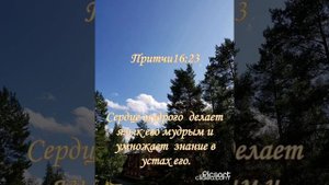 Он превращает бурю в тишину, и волны умолкают.(ПС106:29)