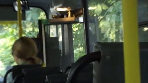 ПАЗ-3204, пригородный автобус Ленинградской области 5: ПАЗ-320402-03 (2C) к.ПТК по №205 (20.08.12)