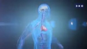 Польза воды для организма человека