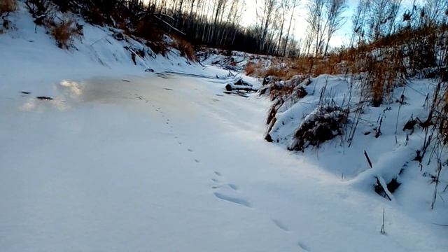 ЗИМНЯЯ РЫБАЛКА ! РЫБАЛКА В ТАЙГЕ ! ПЕРВЫЙ ЛЕД !