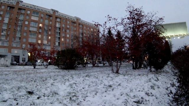 В Новосибирске выпал первый снег.С первым снегом Новосибирск.